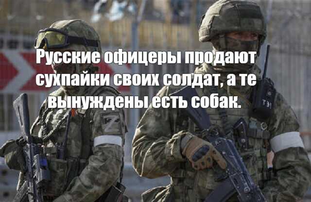 Русские офицеры пьют и воруют. А рядовые орки вынуждены питаться собаками.