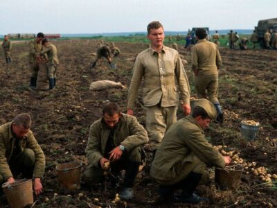 Русские военные работают в беларусских колхозах за еду
