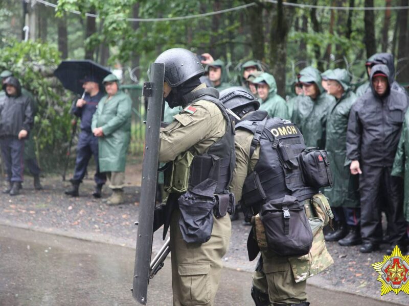 Боеспособность беларусской армии в борьбе з зеленым змеем